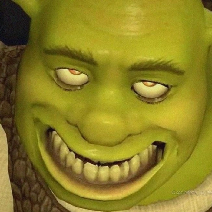 Shrek meme meme đời