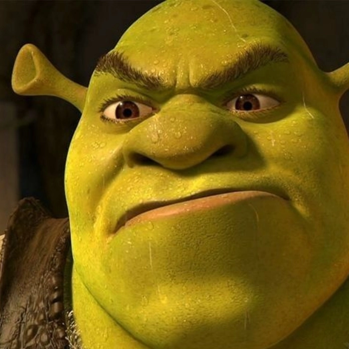 Meme shrek gắt gỏng