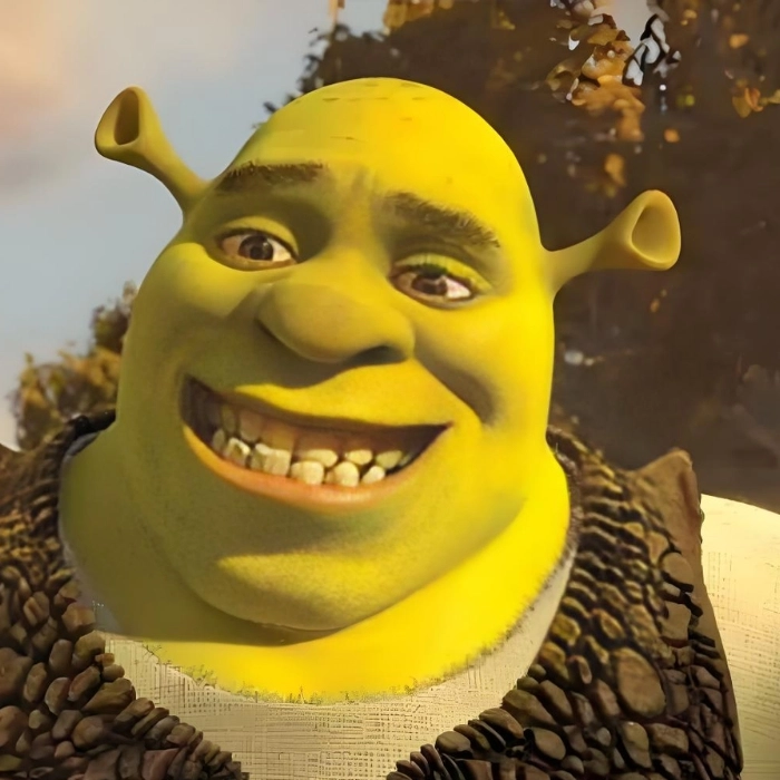 Shrek meme chế vui