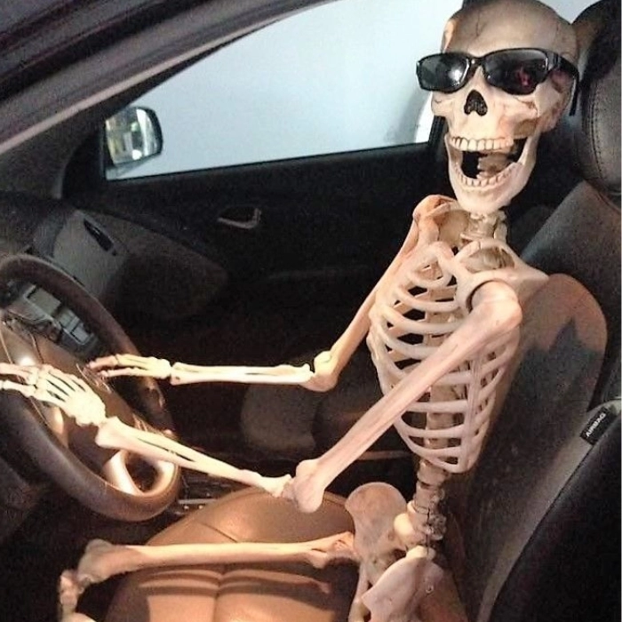 meme skeleton hài hước