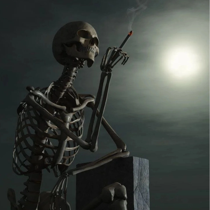 meme skeleton suy