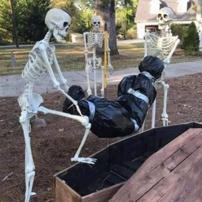 meme skeleton troll