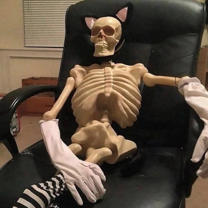 meme skeleton
