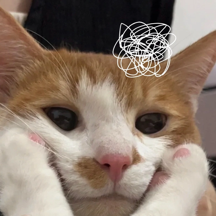 meme suy tư