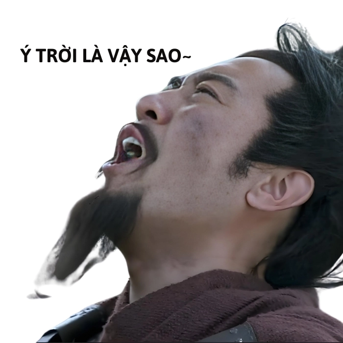 meme ý trời