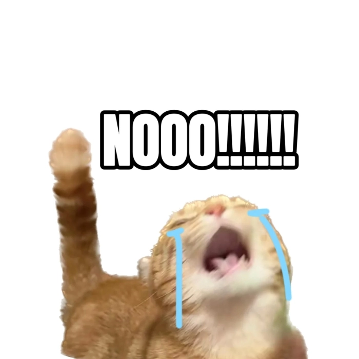 mèo meme khóc