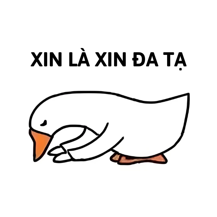 xin đa tạ meme
