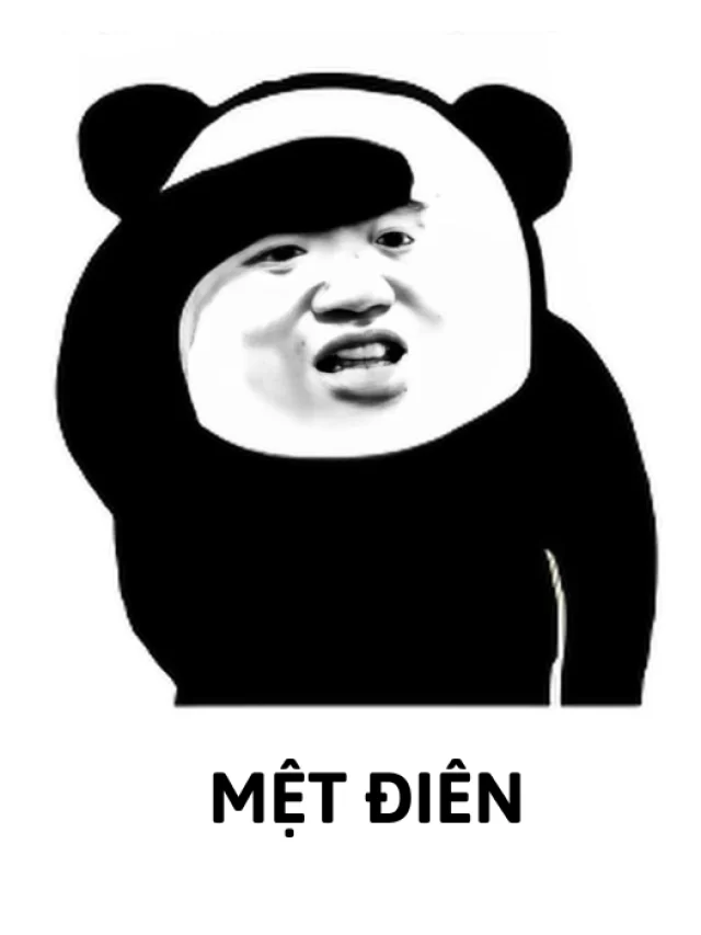 166+ meme mệt mỏi: Mặn mà, lầy lội, thấu cảm tới từng tế bào