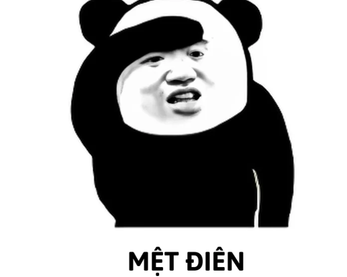 166+ meme mệt mỏi: Mặn mà, lầy lội, thấu cảm tới từng tế bào