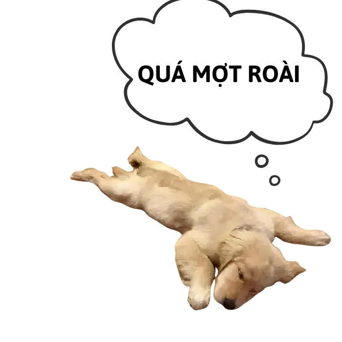 meme quá mệt mỏi